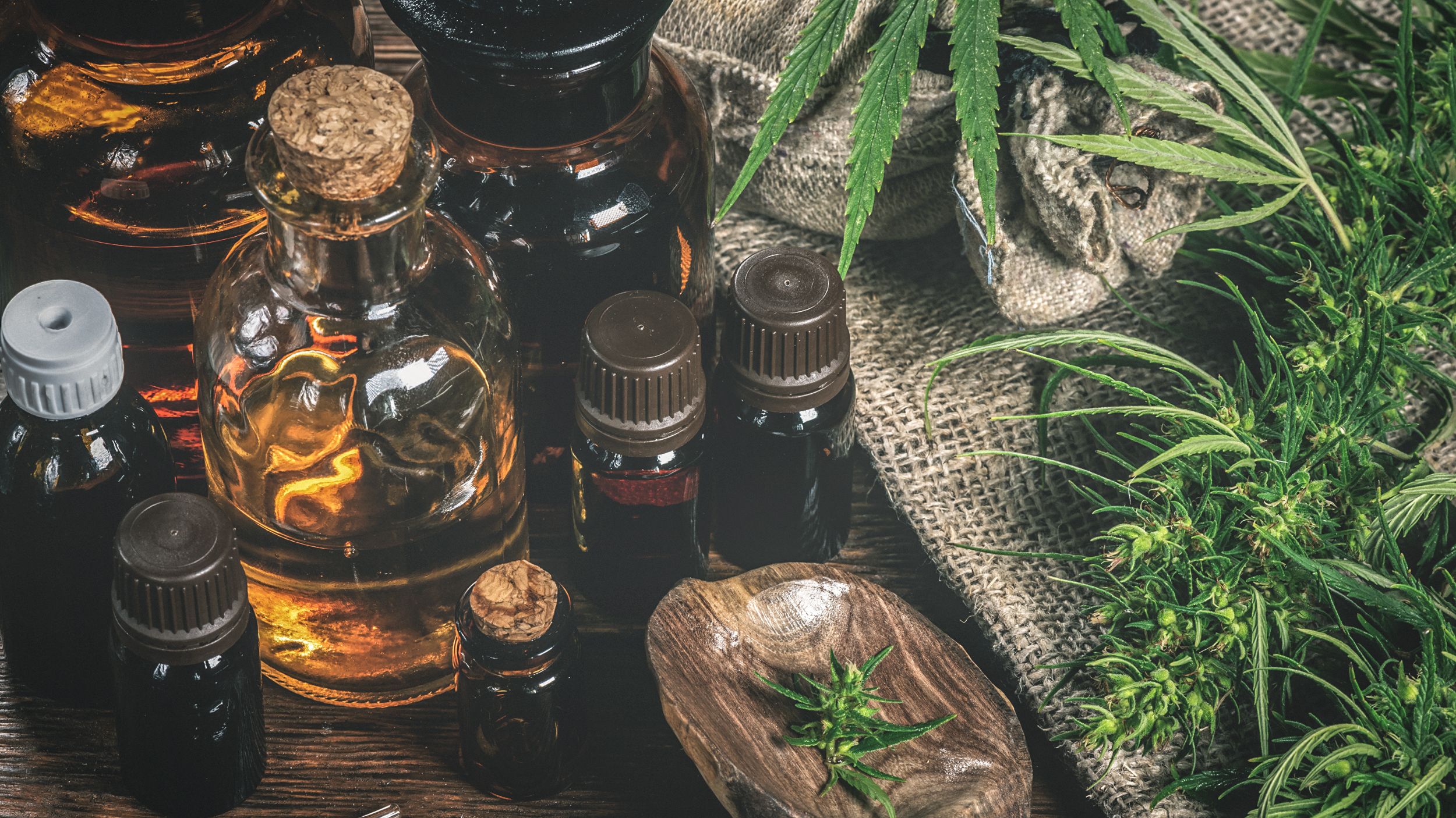 The Rich History of CBD: From Ancient Times to Modern Day